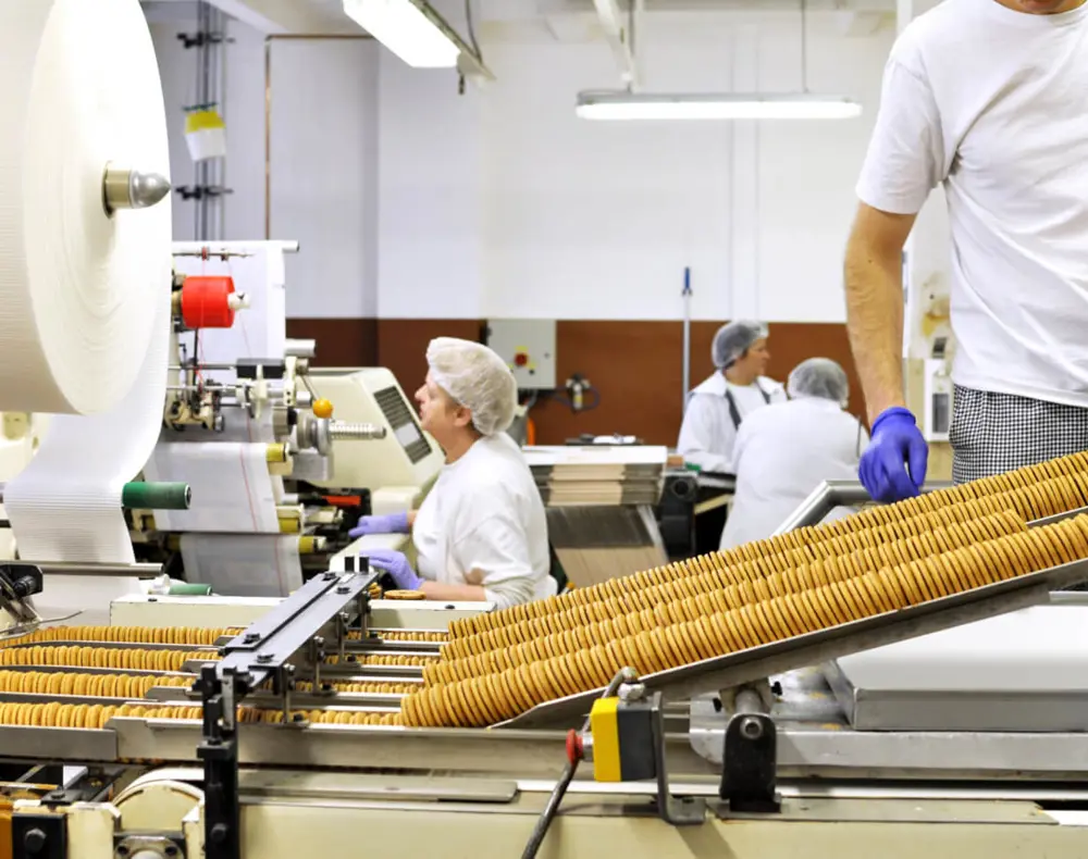 Plaagdierbeheersing Voor De Voedingsmiddelenindustrie Scaled