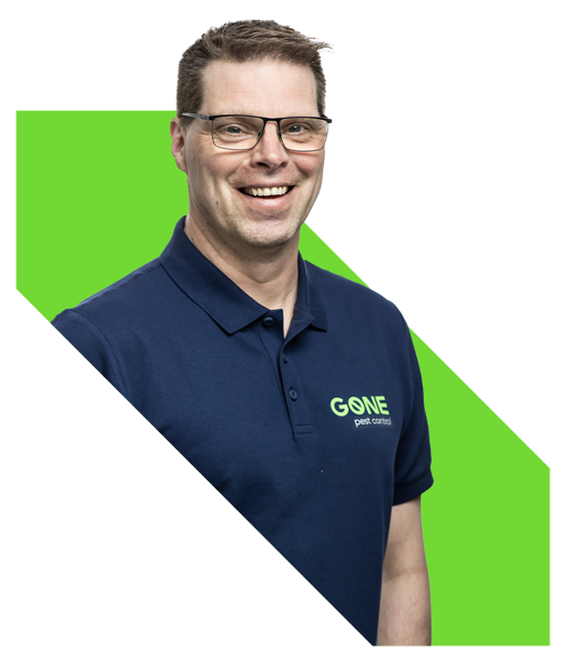 Rene Uitgeknipt Schuin Groen