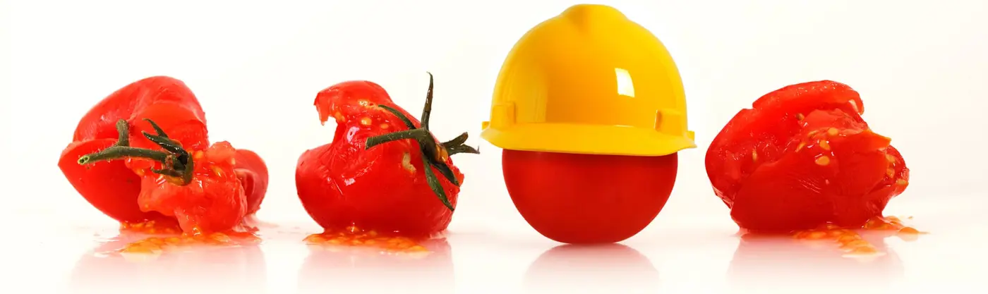 Blog Foto Tomaat Met Helm Min